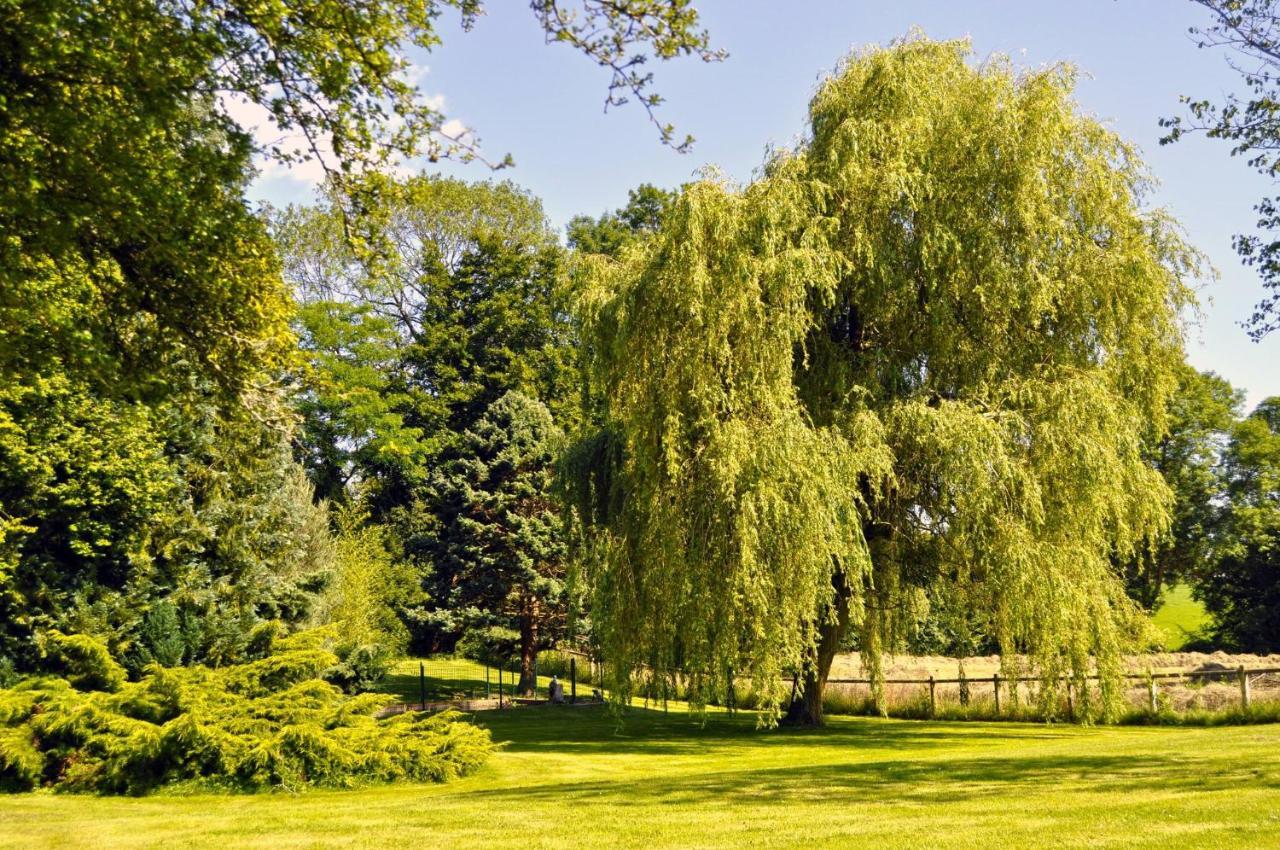 Gite La Normande Etreville Ngoại thất bức ảnh